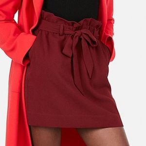High Waisted Tie Waist Mini Skirt